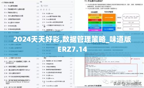 2024天天好彩,数据管理策略_味道版ERZ7.14