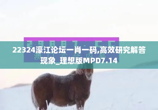 22324濠江论坛一肖一码,高效研究解答现象_理想版MPD7.14