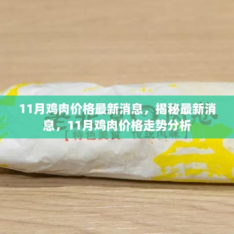 揭秘最新消息，11月鸡肉价格走势分析与预测