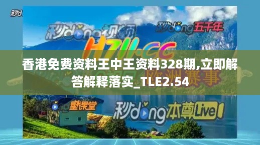 香港免费资料王中王资料328期,立即解答解释落实_TLE2.54