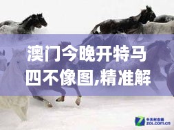 澳门今晚开特马四不像图,精准解答解释方案_自由版WBP8.74