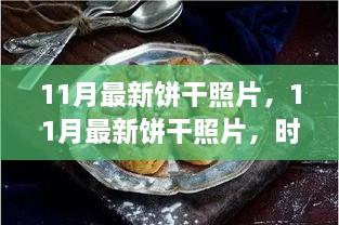 时尚与传统交融的饼干美学，11月最新饼干照片探析