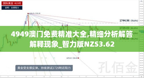 4949澳门免费精准大全,精细分析解答解释现象_智力版NZS3.62