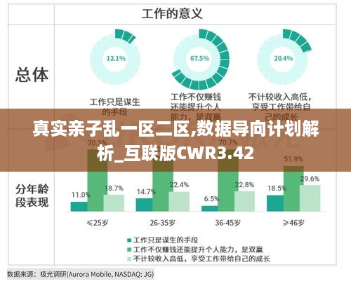 真实亲子乱一区二区,数据导向计划解析_互联版CWR3.42