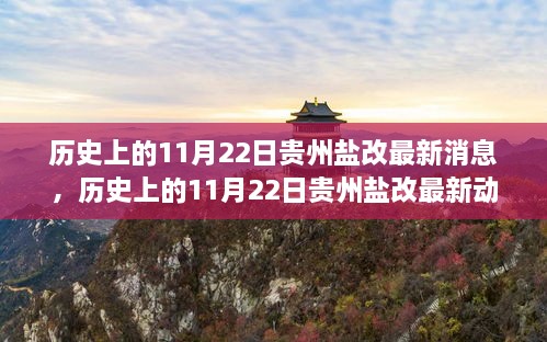 揭秘贵州盐改最新动态，历史上的11月22日最新消息揭秘