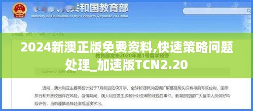 2024新澳正版免费资料,快速策略问题处理_加速版TCN2.20