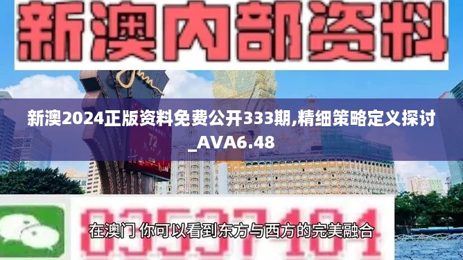 新澳2024正版资料免费公开333期,精细策略定义探讨_AVA6.48