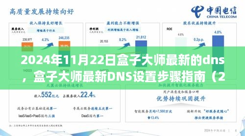 2024年11月22日盒子大师最新的dns，盒子大师最新DNS设置步骤指南（2024年11月版）