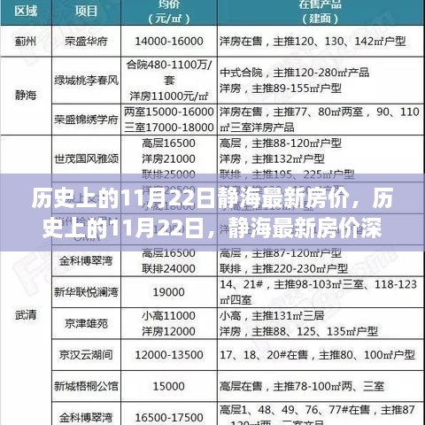 历史上的11月22日静海最新房价，历史上的11月22日，静海最新房价深度解析