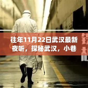 探秘武汉夜听盛宴，小巷深处的独特体验之旅（11月22日）