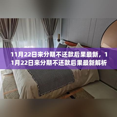 11月22日来分期不还款后果最新解析，全面审视其影响