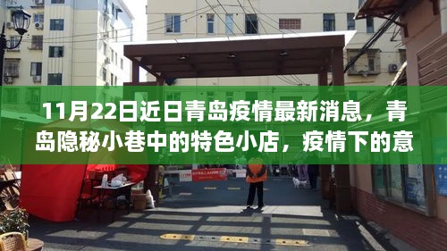 青岛隐秘小巷特色小店，疫情下的意外惊喜与最新消息（11月22日更新）