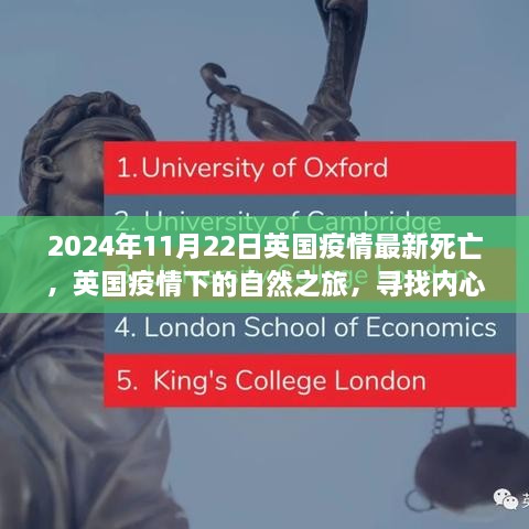 英国疫情下的心灵重生之旅，自然之旅与死亡数据的最新观察（2024年11月22日）