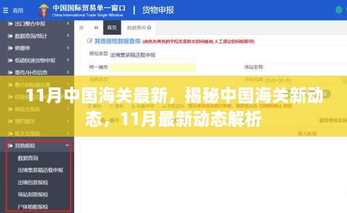 揭秘中国海关新动态，深度解析最新动态与趋势分析（海关新动态十一月报告）