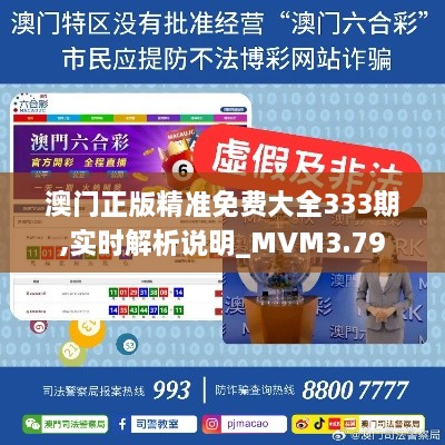 澳门正版精准免费大全333期,实时解析说明_MVM3.79