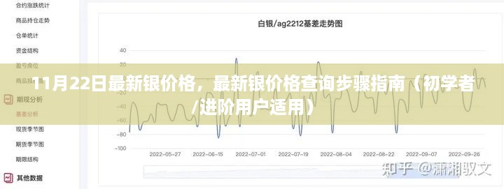 最新银价格查询指南，步骤详解，适用于初学者与进阶用户（11月22日更新）