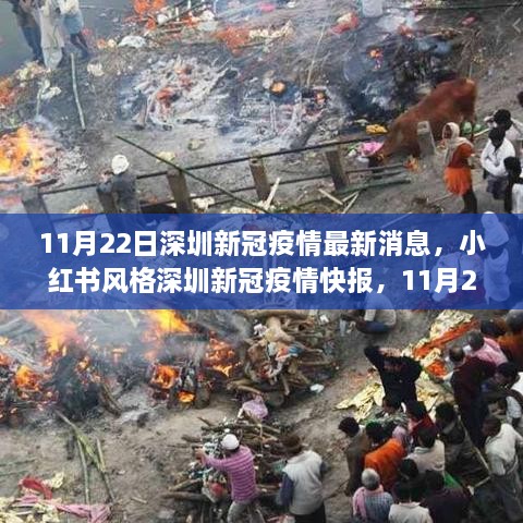 小红书风格深圳新冠疫情快报，最新消息（11月22日）