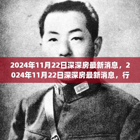 2024年11月22日深深房最新消息，行业深度解读与个人见解