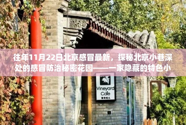 探秘北京小巷深处的特色小店，感冒防治秘密花园