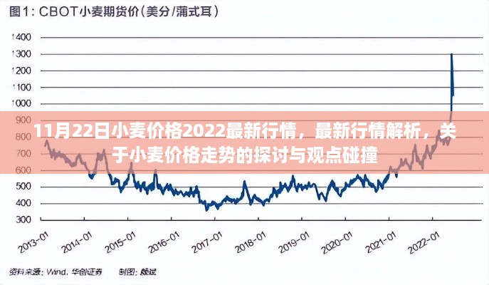 最新小麦行情解析，价格走势探讨与观点碰撞