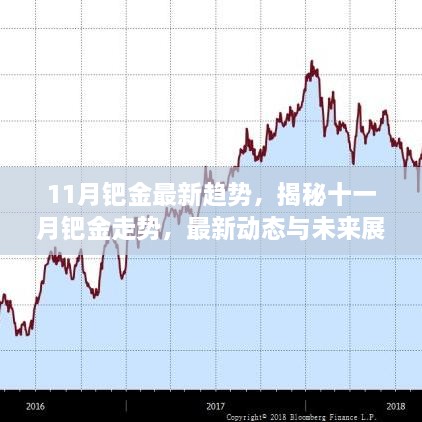 揭秘钯金走势，最新动态与未来展望（十一月版）