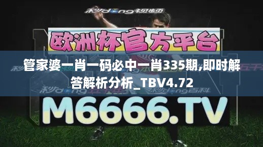 管家婆一肖一码必中一肖335期,即时解答解析分析_TBV4.72