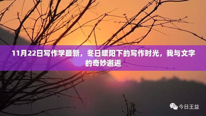 冬日暖阳下的写作时光，与文字的奇妙逅遇新解读