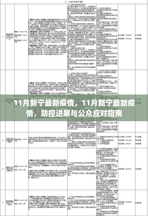 11月新宁最新疫情动态及防控进展与公众应对指南