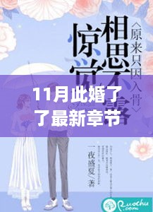 11月此婚了了最新章节，婚缘十一月，温馨日常与爱的纽带