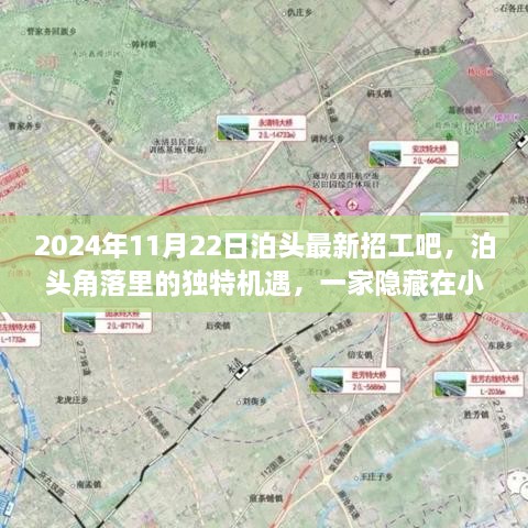 2024年11月22日泊头最新招工吧，泊头角落里的独特机遇，一家隐藏在小巷中的特色小店招工记