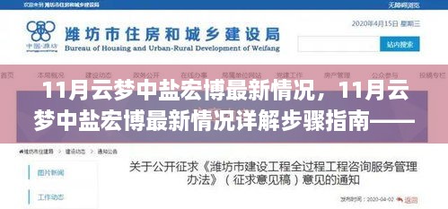 11月云梦中盐宏博最新情况详解，初学者与进阶用户的步骤指南