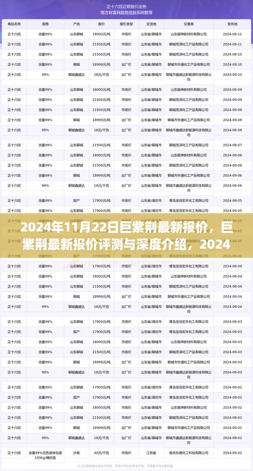 巨紫荆最新报价评测与深度介绍，市场观察报告（2024年11月22日）