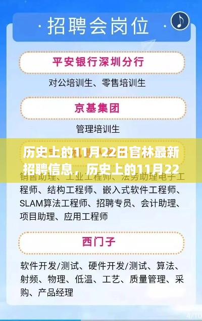 历史上的11月22日官林最新招聘信息深度解析与探讨