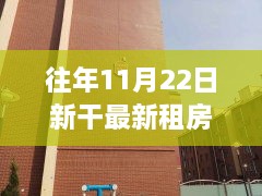 新干地区租房市场探析，历年11月22日的观察与观点分享