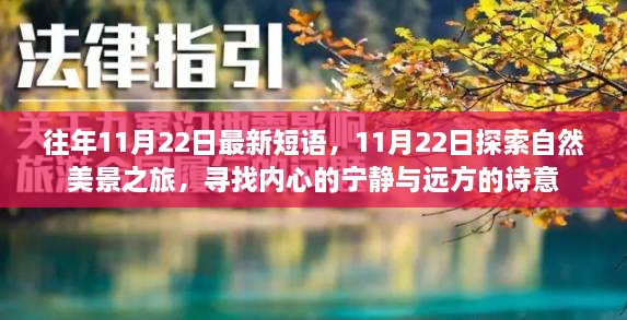 11月22日，自然美景之旅，探寻内心的宁静与诗意远方