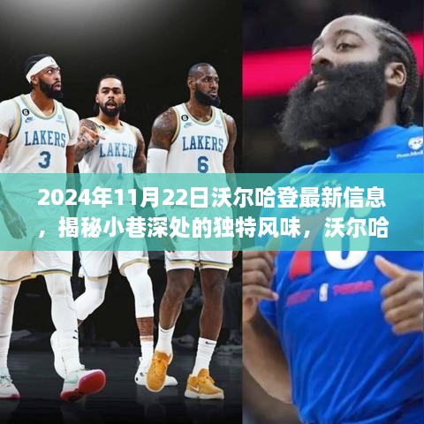 沃尔哈登小巷独特风味揭秘，2024年11月22日独家报道