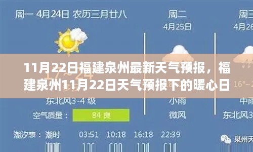 福建泉州11月22日天气预报下的暖心日常概况