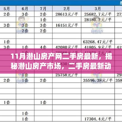 揭秘潜山房产市场，最新二手房动态深度解读（11月版）