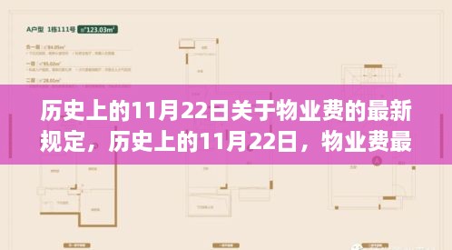 历史上的11月22日物业费新规诞生及其影响概述