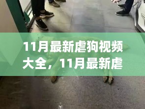 11月最新虐狗视频回顾，背景、事件与深远影响一览