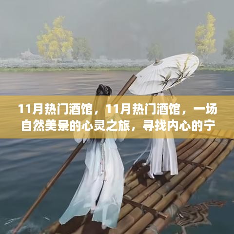 11月热门酒馆，自然美景中的心灵之旅，探寻内心宁静与平和的胜地