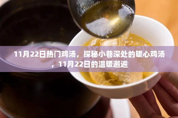 探秘小巷深处的暖心鸡汤，11月22日的温暖邂逅之旅