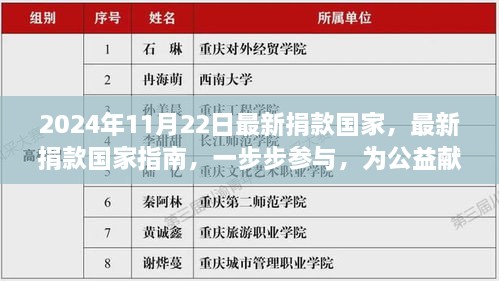 2024年11月最新版捐款指南，如何一步步参与公益贡献力量