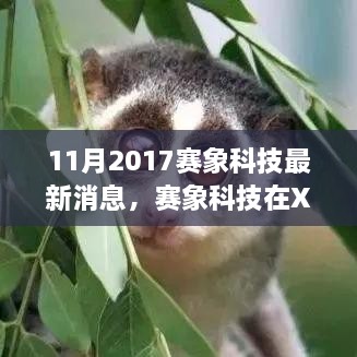 赛象科技最新动态深度解析，XXXX年新篇章下的十一月消息速递