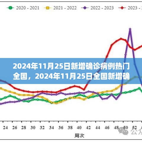 2024年11月25日全国疫情动态，最新确诊病例指南与理解疫情走势的方法