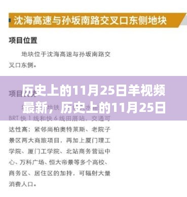 历史上的11月25日，羊视频现象背后的故事与影响揭秘