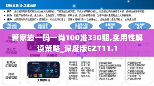 管家婆一码一肖100准330期,实用性解读策略_深度版EZT11.1