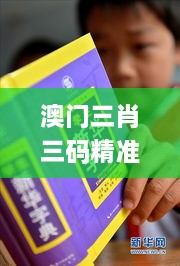 澳门三肖三码精准100%新华字典332期,社会承担实践战略_经典版BRL11.19