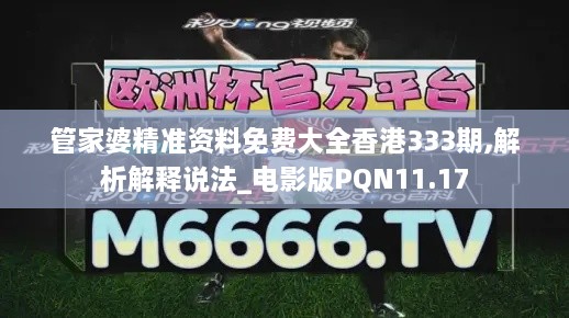 管家婆精准资料免费大全香港333期,解析解释说法_电影版PQN11.17