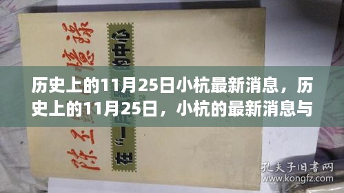 历史上的11月25日，小杭的最新消息与深远影响揭秘